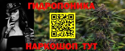 наркотики Камышлов