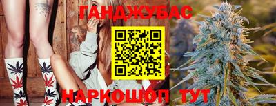 наркотики Камышлов
