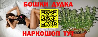 наркотики Камышлов