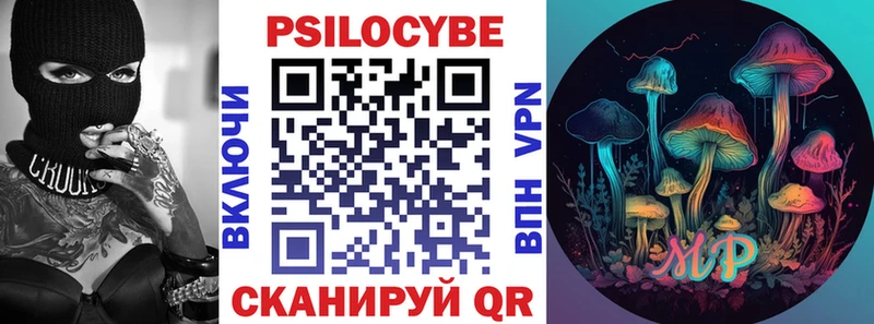 закладка  Ржев  Псилоцибиновые грибы Psilocybine cubensis 